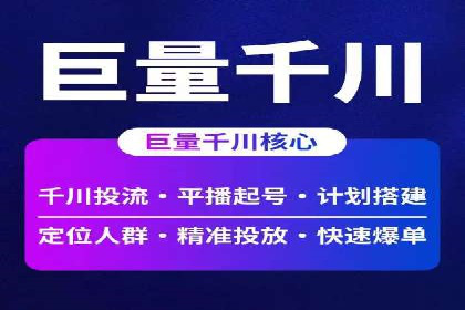 SEM推广实战：成功案例解读与策略调整